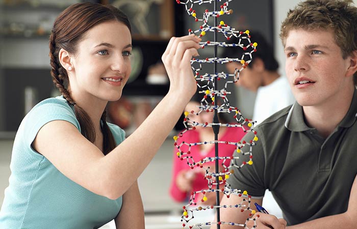 Biology 13